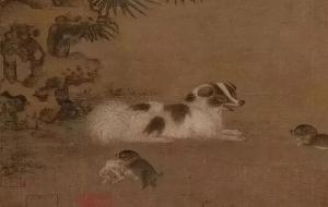 男不养猫,女不养狗的真正原因