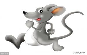 属相五行的意思（属相五行对照表）