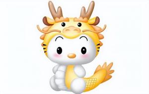 属龙适合做什么行业工作