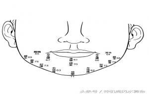 下巴翘的女人面相代表什么(下巴看面