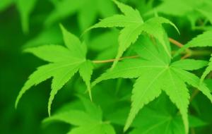 射手男暗恋的明显特征（射手座暗恋的