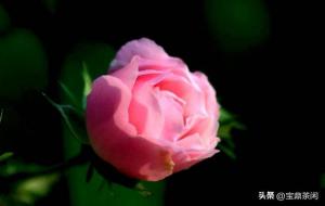 遇见即是上上签