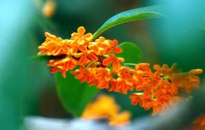 开门见什么有财运和吉利