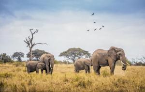 睽卦是吉是凶（睽卦预示什么）