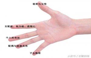 通过手指看命运：拇指、食指、中指、无名指、小指