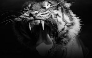 36岁本命年真的是一道坎吗