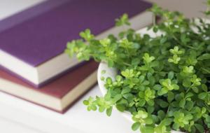 十二星座隐性性格（隐藏性格）