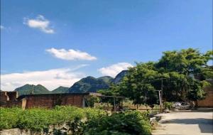 白虎盖青龙、代代有人穷什么意思