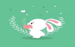 属兔是怎样的人（生肖兔心里性格与脾