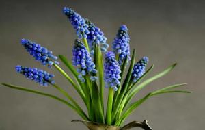 怎么让天蝎座回头（天蝎座回头几率有