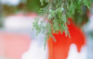 佛学名词解释:基础的60个佛学名词详