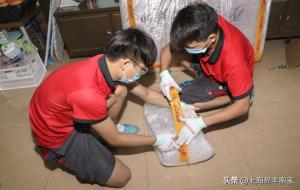 乔迁新居吉日（需要准备什么东西进门）