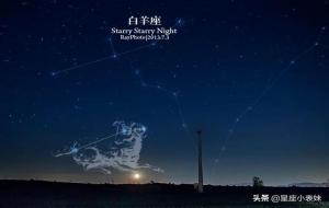 白羊是什么象的星座(火象星座)