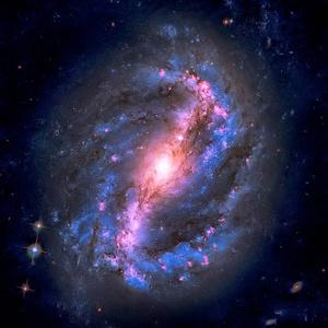 北极星在哪个星座（小熊星座）