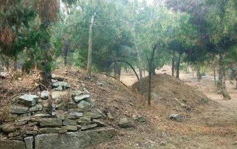 坟墓前很怕放什么东西