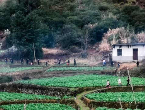 不扫三代坟是什么意思