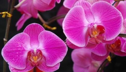 运气测试2025免费