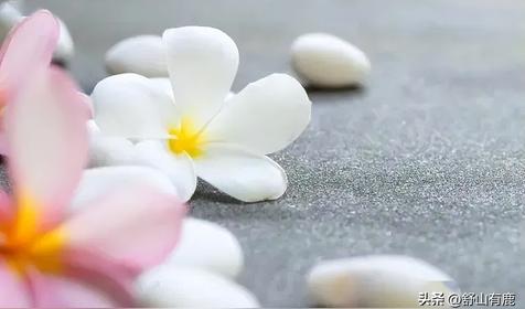 家庭风水布局有什么讲究