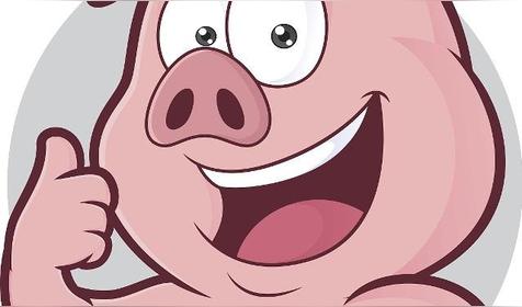 属猪的一生婚姻与命运怎么样