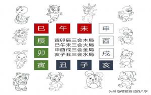 三会局对人有什么作用