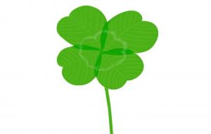 四叶草的花语(四叶草的寓意和象征)