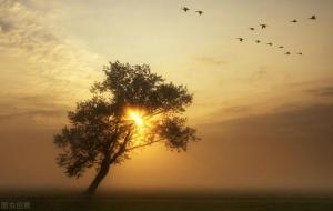 佛说缘分尽了会有预兆