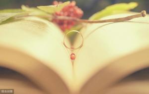 结婚十年是什么婚（10周年纪念日）