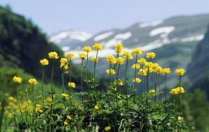 得之我幸、失之我命的意思与出自