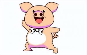 属猪人一生倒霉的年龄