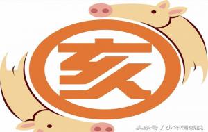 1995属猪人什么命（命运与婚姻）