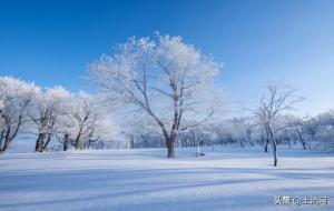 立冬的意义（立冬是什么意思）