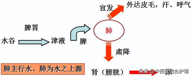 寅时是几点到几点钟
