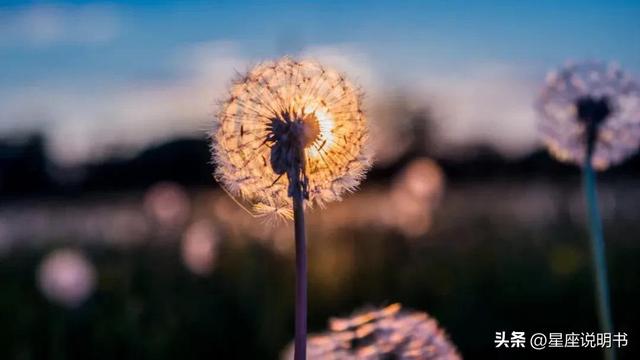 射手座命中注定的夫妻