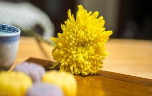 重阳节有哪些习俗