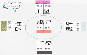 特殊八字是什么意思