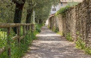 静心养心修心十句话