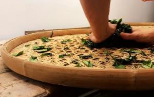 谷雨节气的特点和风俗