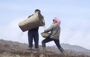 打光棍的人是命中注定的吗