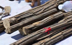 六道木的功效与作用