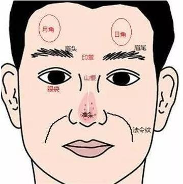 日月角位置（日月角突出女人面相）