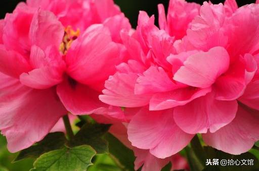 厄运缠身怎么办