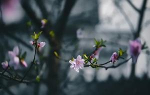 《周易》:自强不息,厚德载物