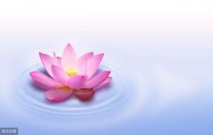 命苦福薄的四个特征