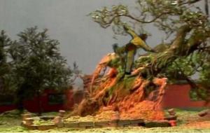 观音手里的瓶子叫啥（玉净瓶）