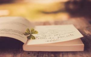 富贵手是什么样子的