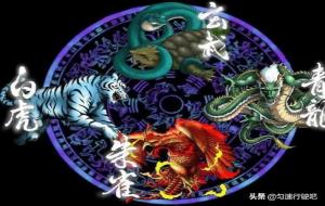 左青龙，右白虎，前朱雀，后玄武指什么