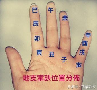 掌上排年柱法，掌上推生肖法