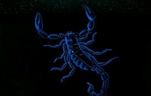 天蝎座的性格优点和缺点