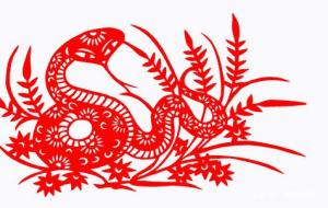 属蛇几月出生的人命好