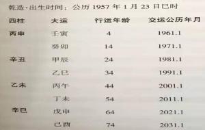 从格命局喜忌及用神分析